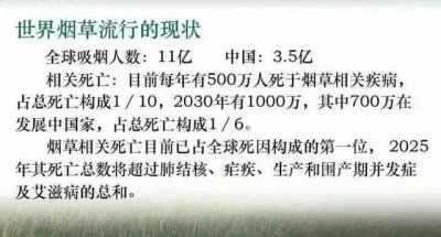 65元一包的中华香烟，成本到底是多少？背后真相惊人