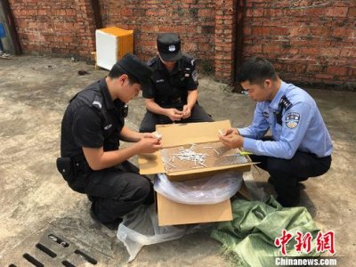 南宁海关查获无过滤嘴散装半成品香烟数近346万支