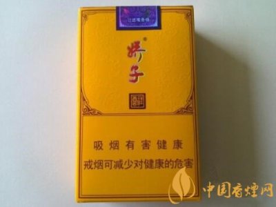 娇子软祥云多少钱一包？娇子（软祥云）价格-口感-参数-包装