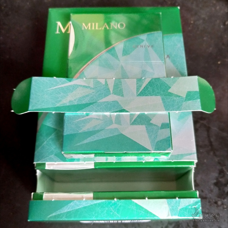 绿色薄荷米兰(MILANO)