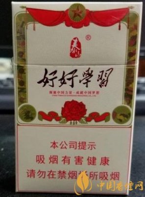 泰山（好好学习）多少钱一包？价格-口感-参数-包装