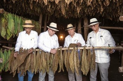 塔巴多姆雪茄团队中的配方师和农学家