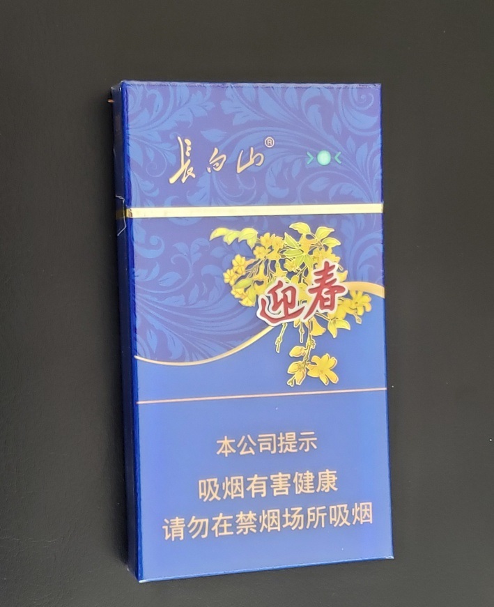 长白山迎春(蓝尚)