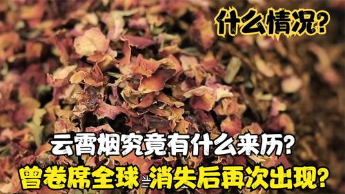 云霄香烟网上批发商城